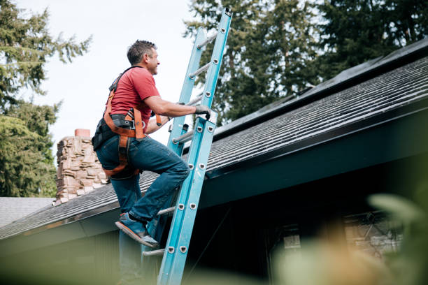 Best Roof Coating and Sealing  in Tanque Verde, AZ